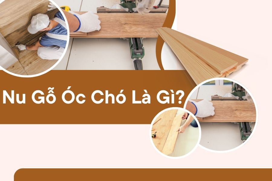 Nu Gỗ Óc Chó Là Gì? Điểm Khác Biệt So Với Gỗ Óc Chó Thông Thường